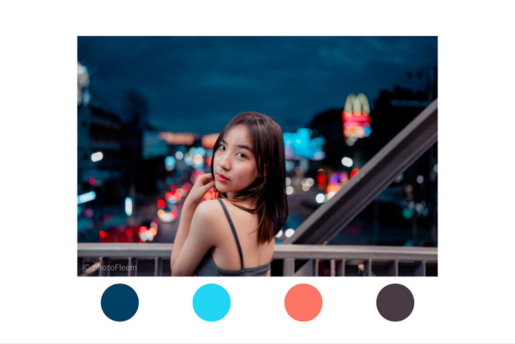 แต่งรูปกลางคืน Lightroom โทน Night Cold