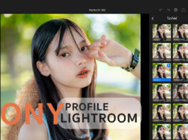 รีวิวแต่งสกินโทน Sony แอพ Lightroom ด้วย PhotoFleem Pro (2022)