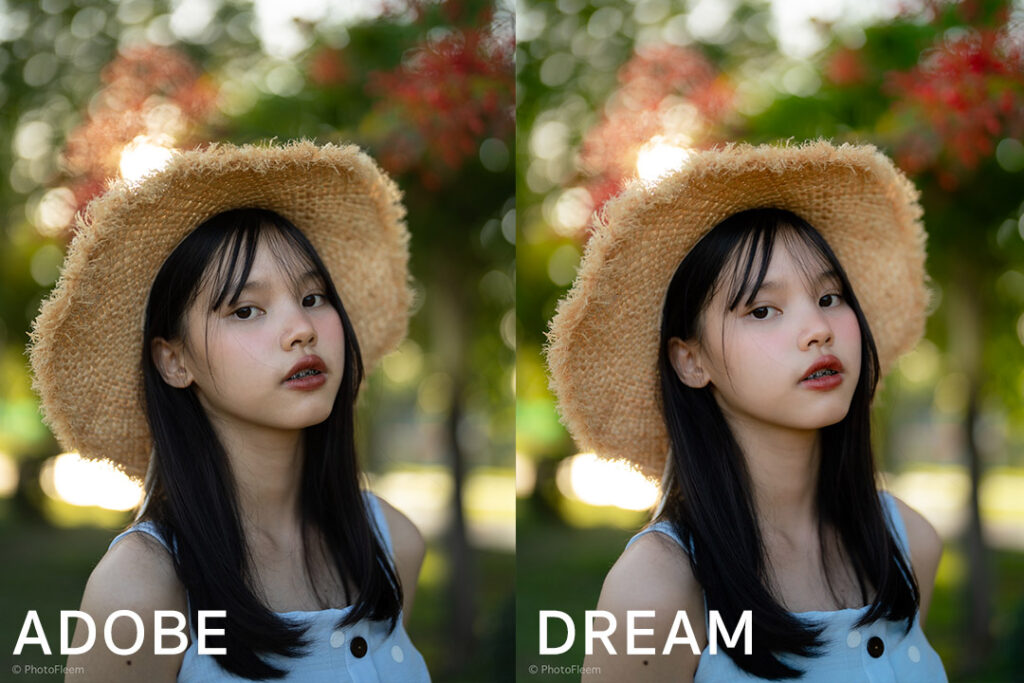 รีวิว Portra Dream สีชุด PhotoFleem Pro สำหรับ Sony