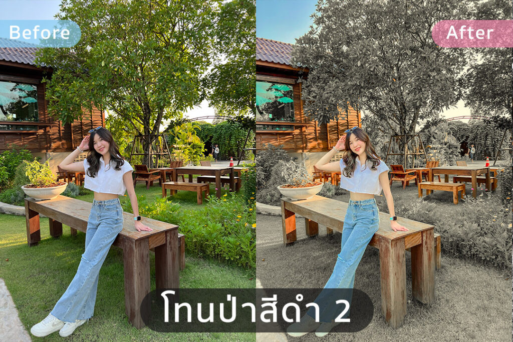 Lightroom Preset คุมโทนคาเฟ่ ป่าดำ