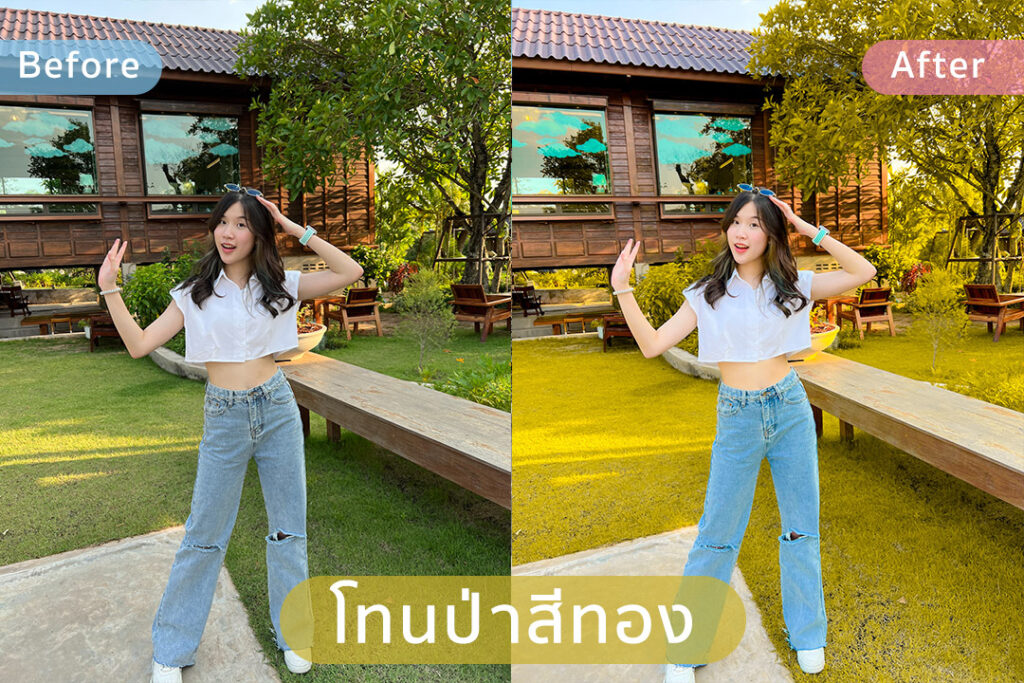 Lightroom Preset คุมโทนคาเฟ่ ป่าสีทอง