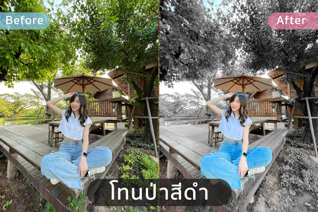 Lightroom Preset คุมโทนคาเฟ่ ป่าสีดำ