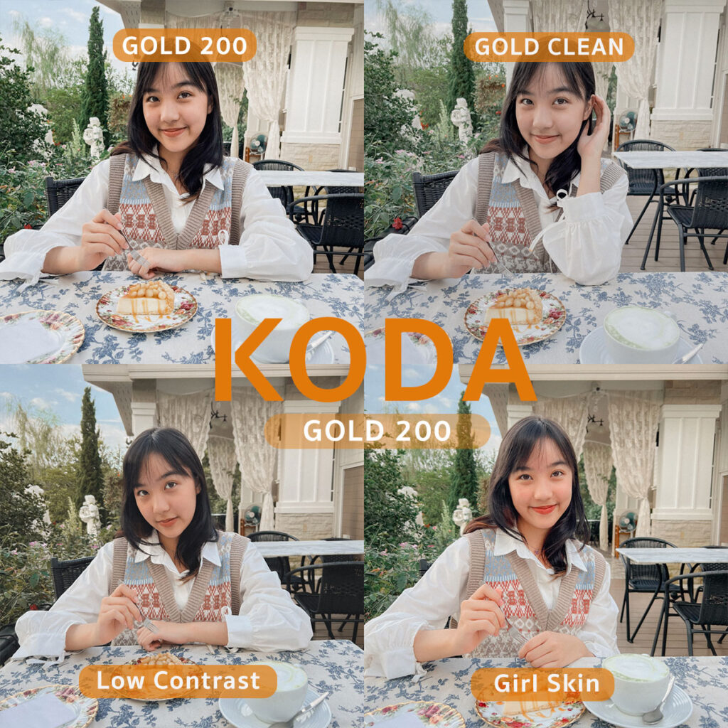 lightroom preset แต่งรูปโทนฟิล์ม Kodak Gold