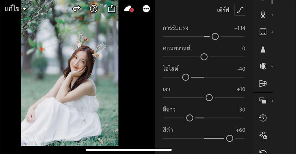 วิธีแต่งรูปโทนฟิล์ม Kodak Gold แอพ Lightroom